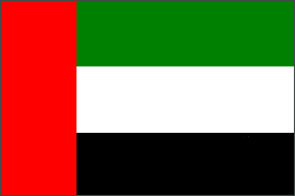 Flag of Dubai 